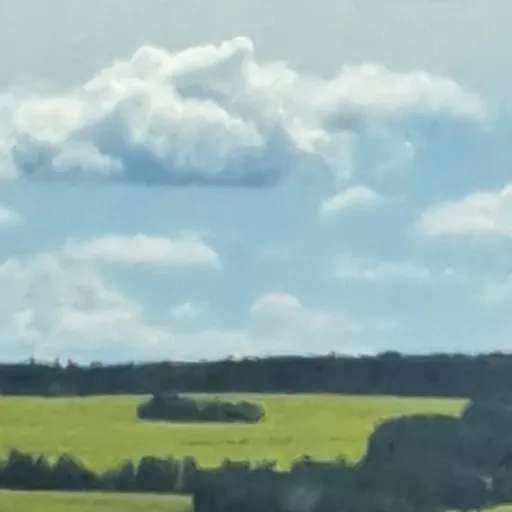 creator Losing_my_mind's avatar