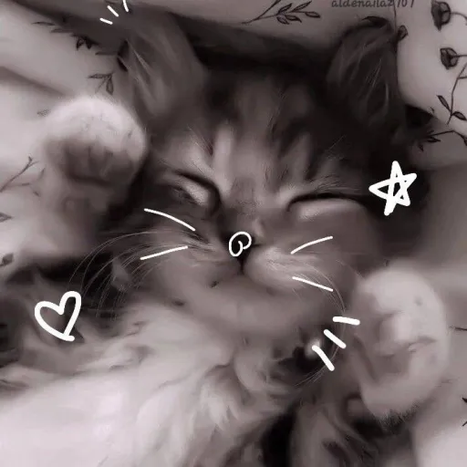 creator rarul's avatar