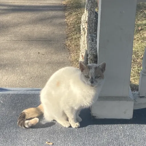 creator Squish_Crafts's avatar