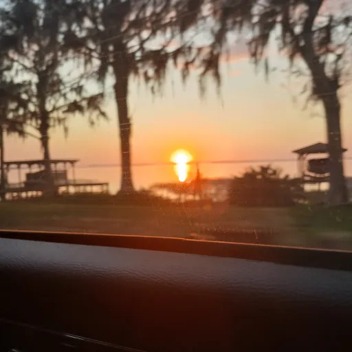 creator darkness owner's avatar