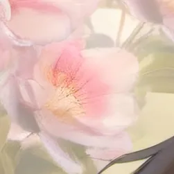 chat with ai character: Nico