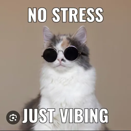 creator chismosa..that me!'s avatar