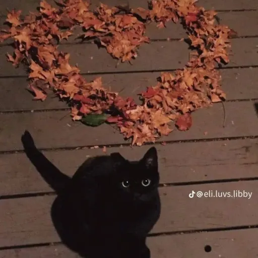 creator RosePlayzGames's avatar