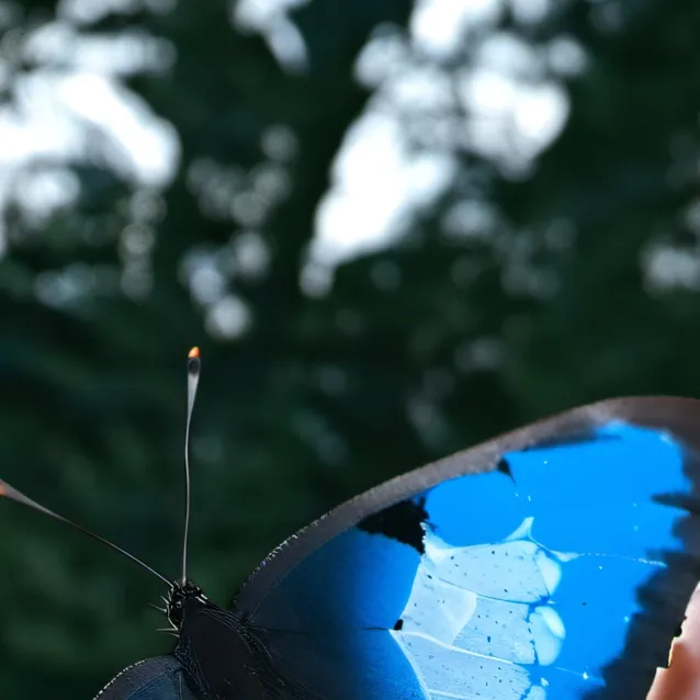 chat with ai character: osu