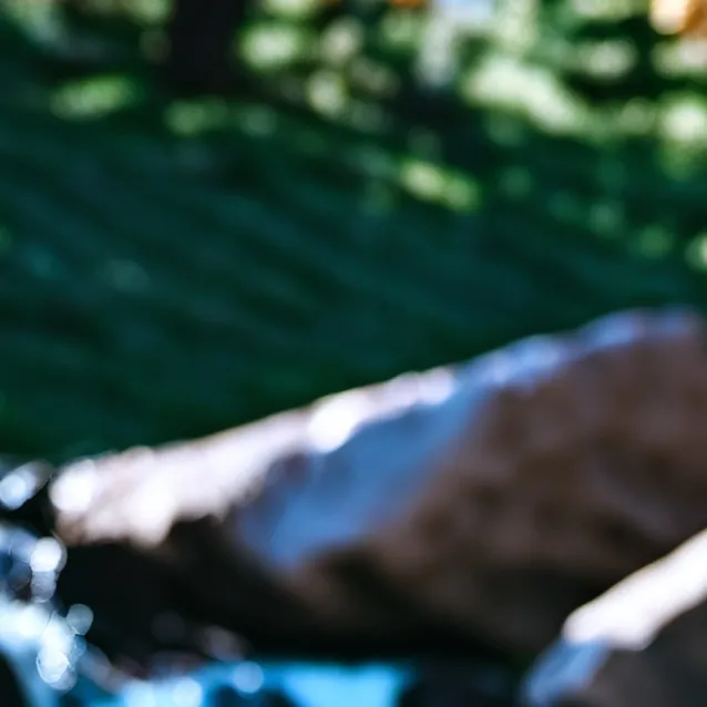 chat with ai character: Sam and Colby