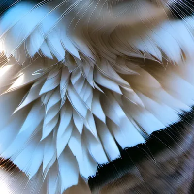 chat with ai character: Demon slayer 