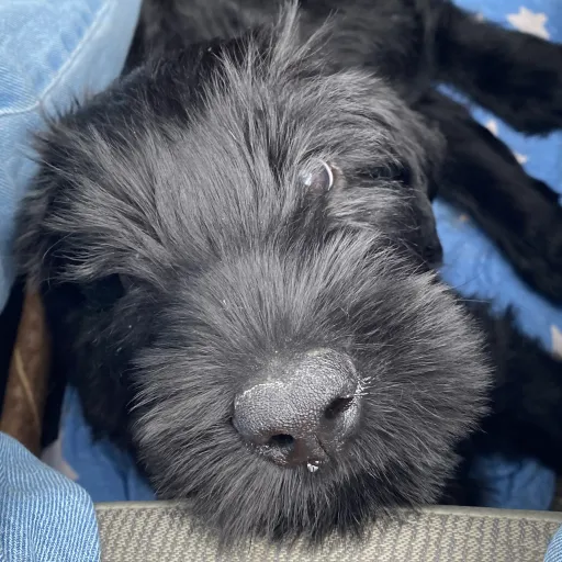 creator Telefonmann2405's avatar