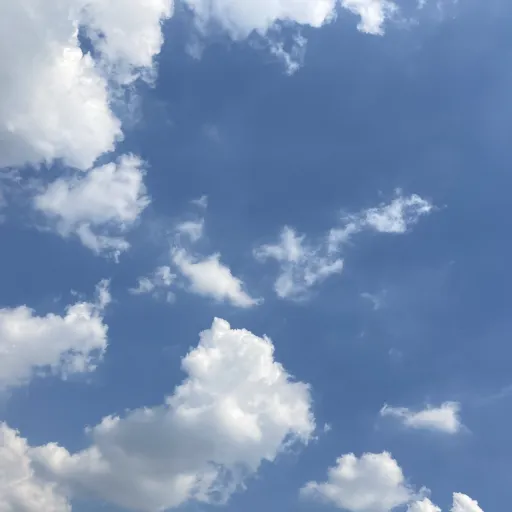 creator rosieee2013's avatar