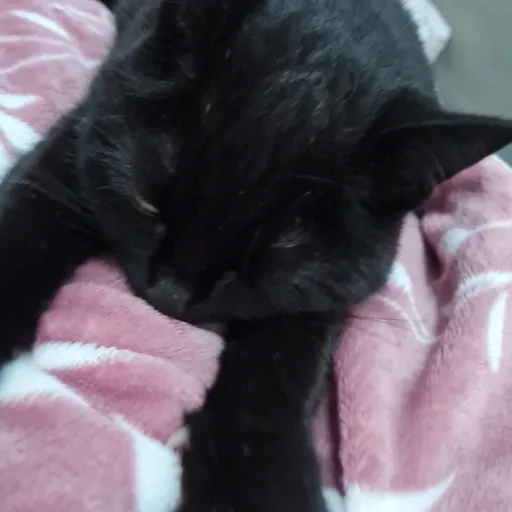 creator leana125's avatar