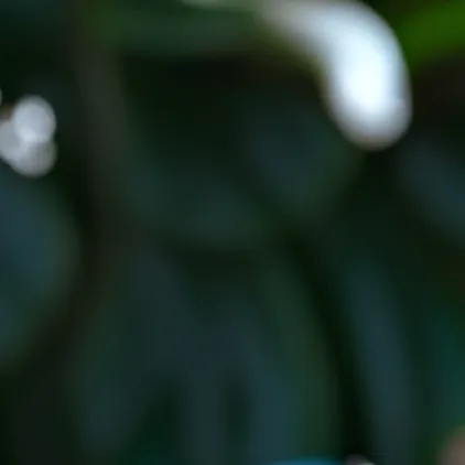 chat with ai character: idk