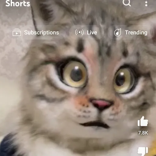 creator concept bendy boi's avatar