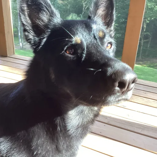 creator cali 🤭's avatar