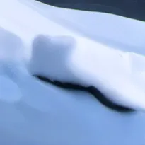 chat with ai character: Jackson five