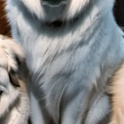 chat with ai character:  baku