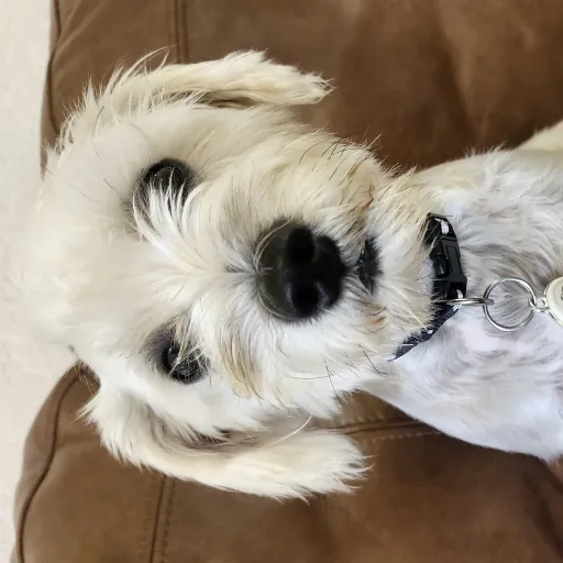 creator ISA THE FIRST's avatar