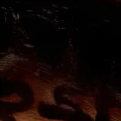 chat with ai character: Max 