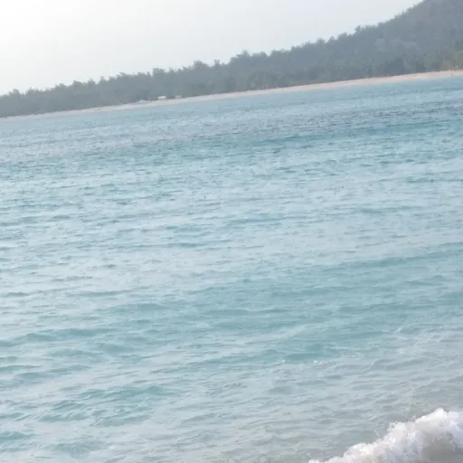 creator alexa.............'s avatar