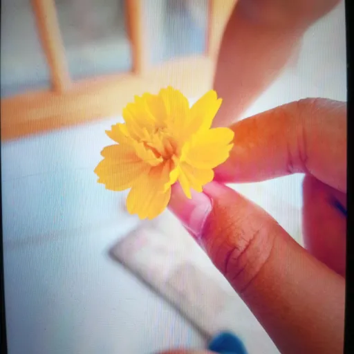 creator K★†'s avatar