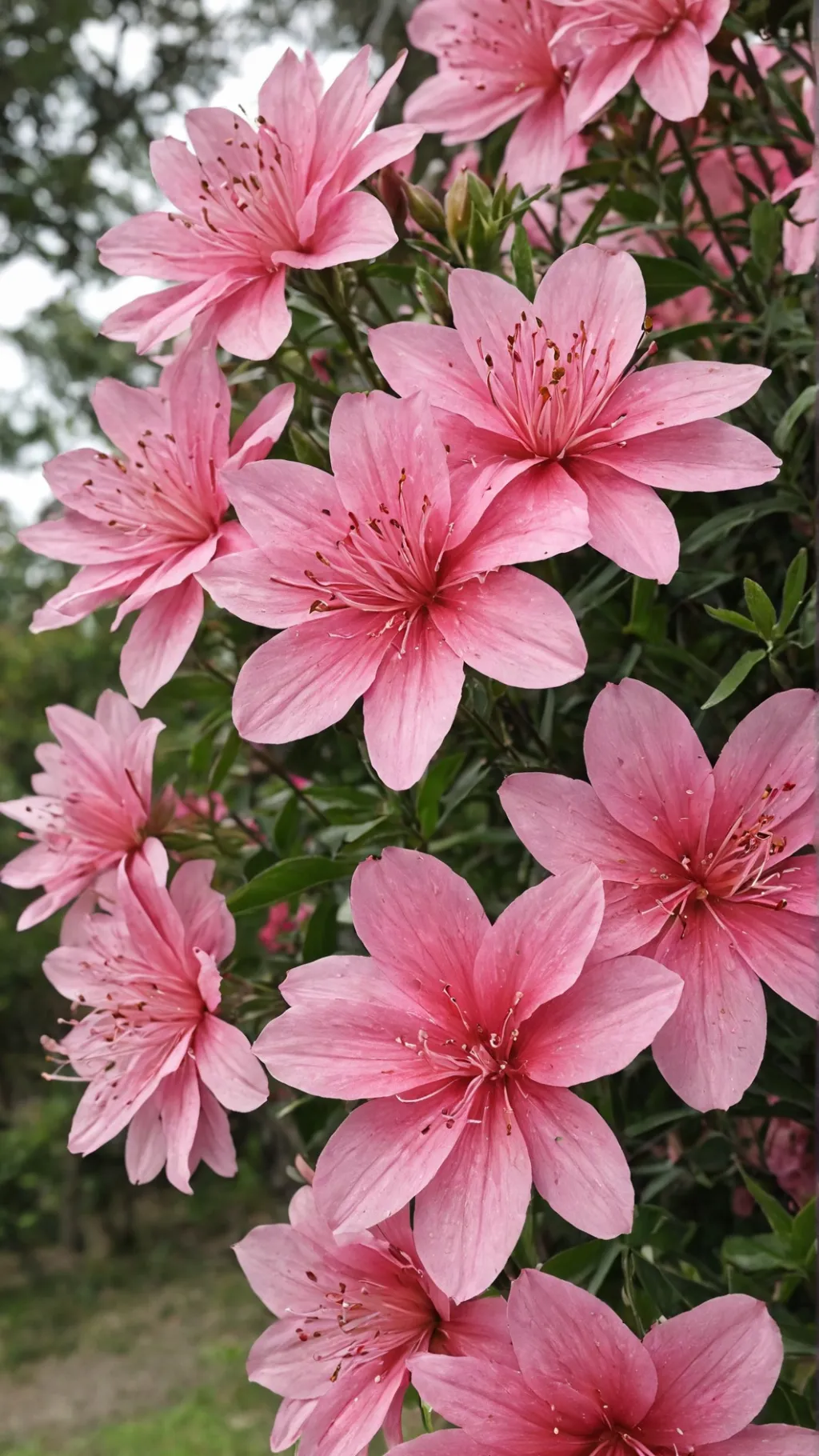 ai character: pizzaburger again background