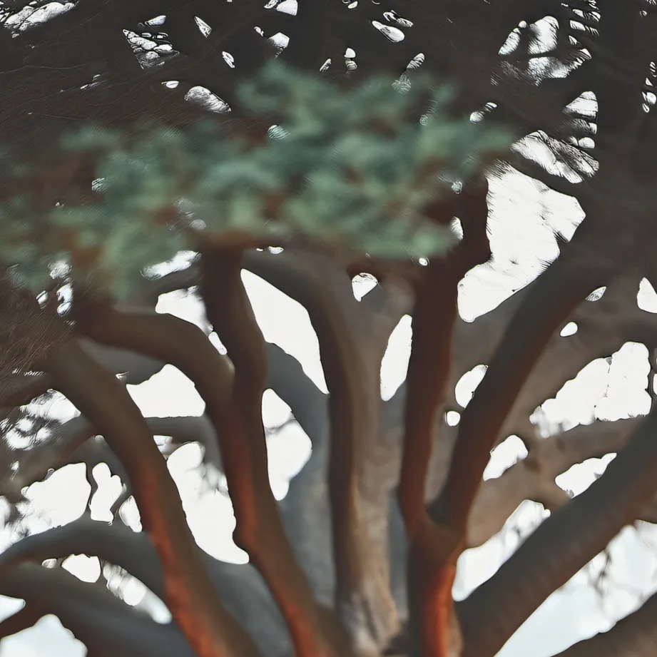 chat with ai character: Holy tree