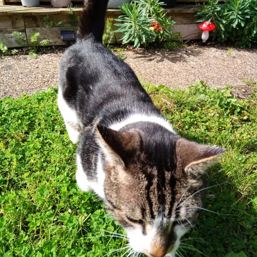 creator ZASLAYQUINN's avatar