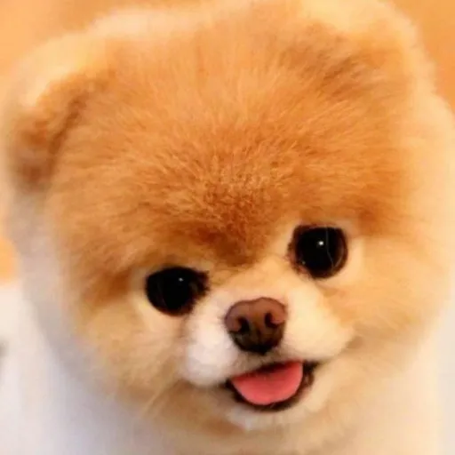 creator Th@t0n€P€r$0n's avatar