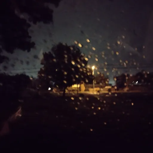 creator Sage Grove's avatar