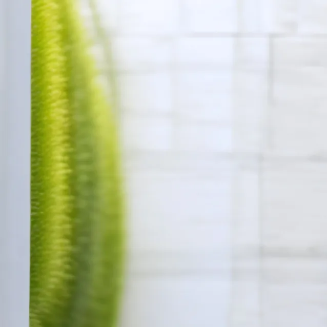 chat with ai character: baldi vs miss circ