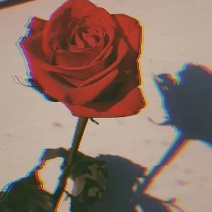 creator 🥀KaeAnn🥀's avatar