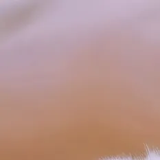 chat with ai character: test ig...