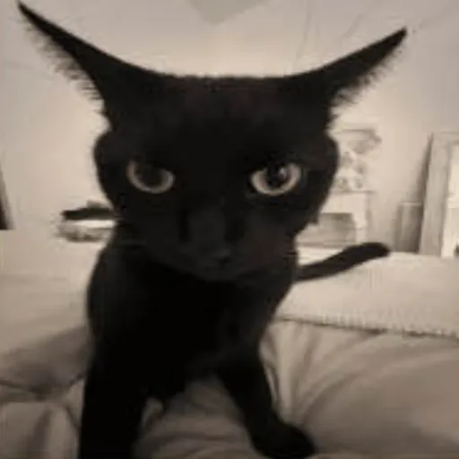 creator Bri🦖dino's avatar