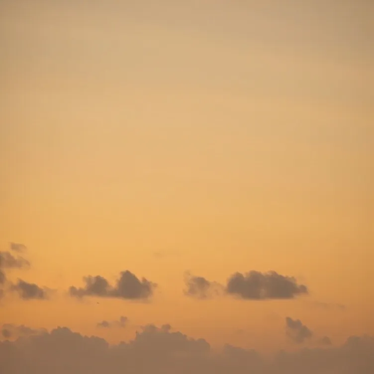 chat with ai character: OBX