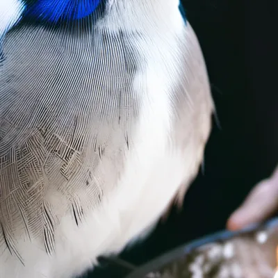 chat with ai character: Bored