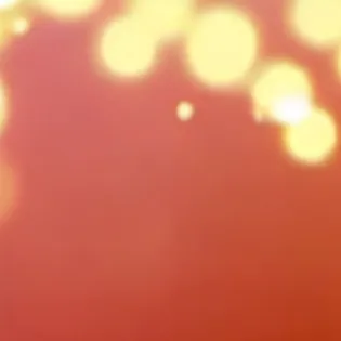 chat with ai character: mha girls