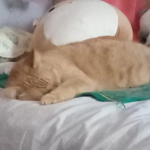 creator Deku!~'s avatar