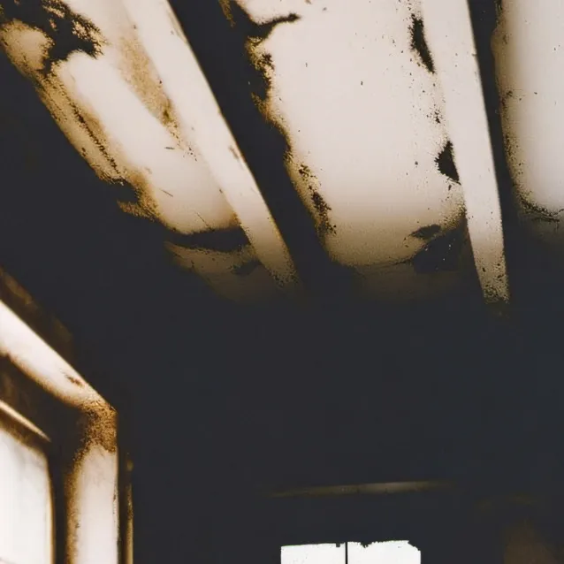 chat with ai character: smiling critters