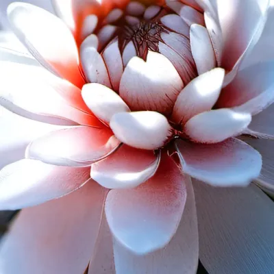 chat with ai character: Moxxie