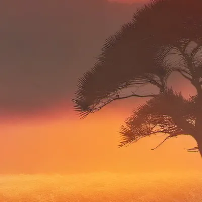 chat with ai character: Personal therapist