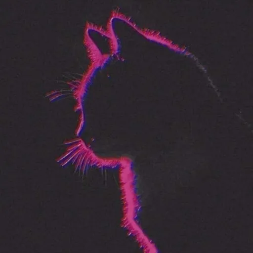 creator Your Local Failure's avatar