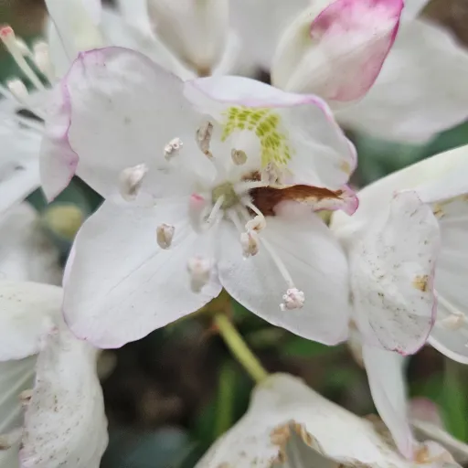 creator ♡Kate0911♡'s avatar