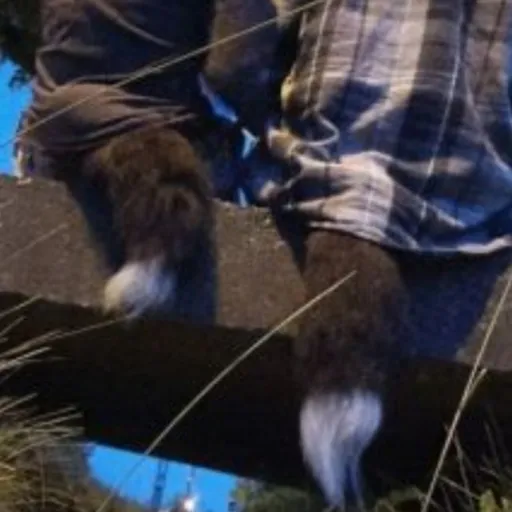 creator *Suzuki_68283190's avatar