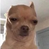 creator catissue's avatar