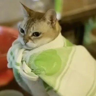 creator Wendigocraft's avatar