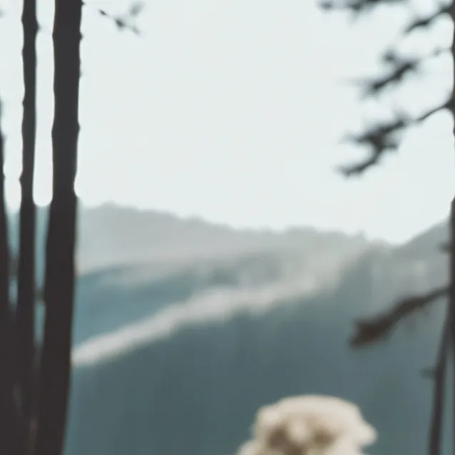 chat with ai character: 💀