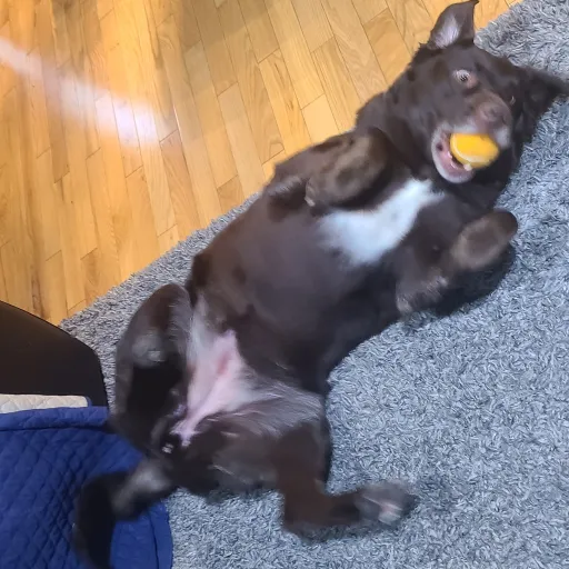 creator Mia That girl💅's avatar