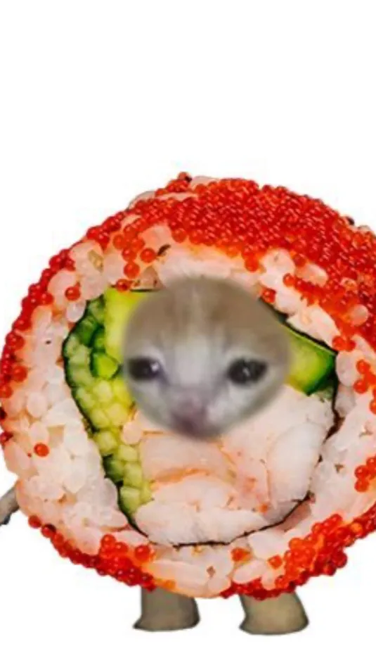 ai character: Sushi the cat 🐱  background