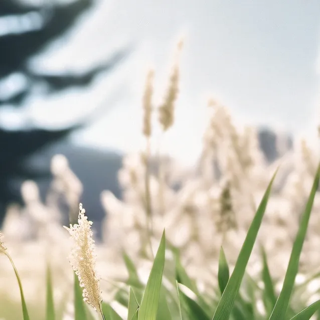 chat with ai character: grass