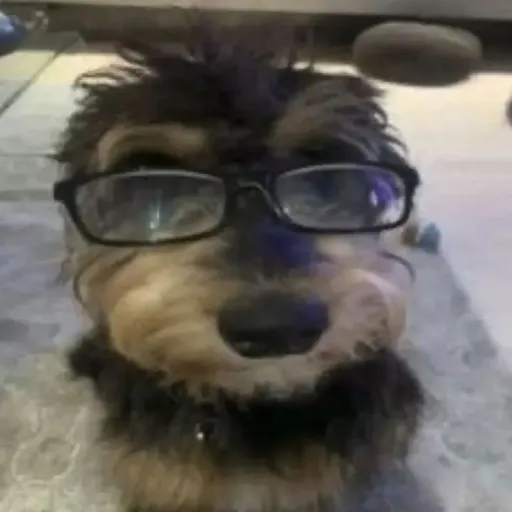 creator ohmygod123's avatar