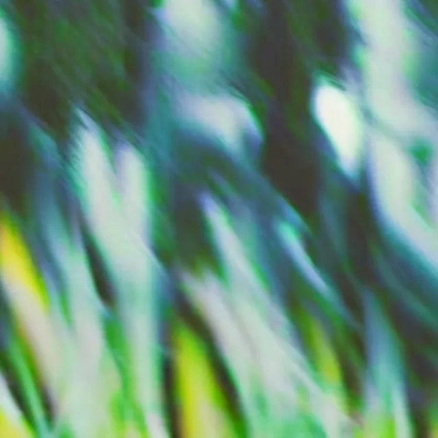 chat with ai character: grass