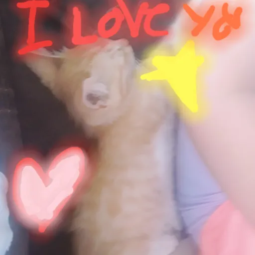 creator diamonds_inthesky's avatar